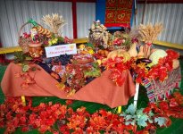 img (18)